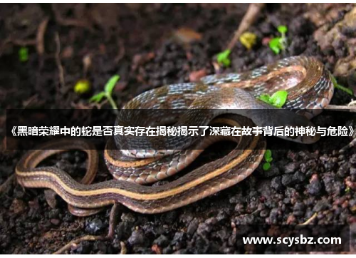 《黑暗荣耀中的蛇是否真实存在揭秘揭示了深藏在故事背后的神秘与危险》